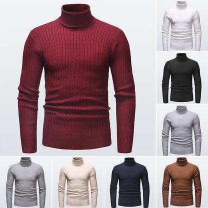 Pull à Col Roulé en Maille pour Homme