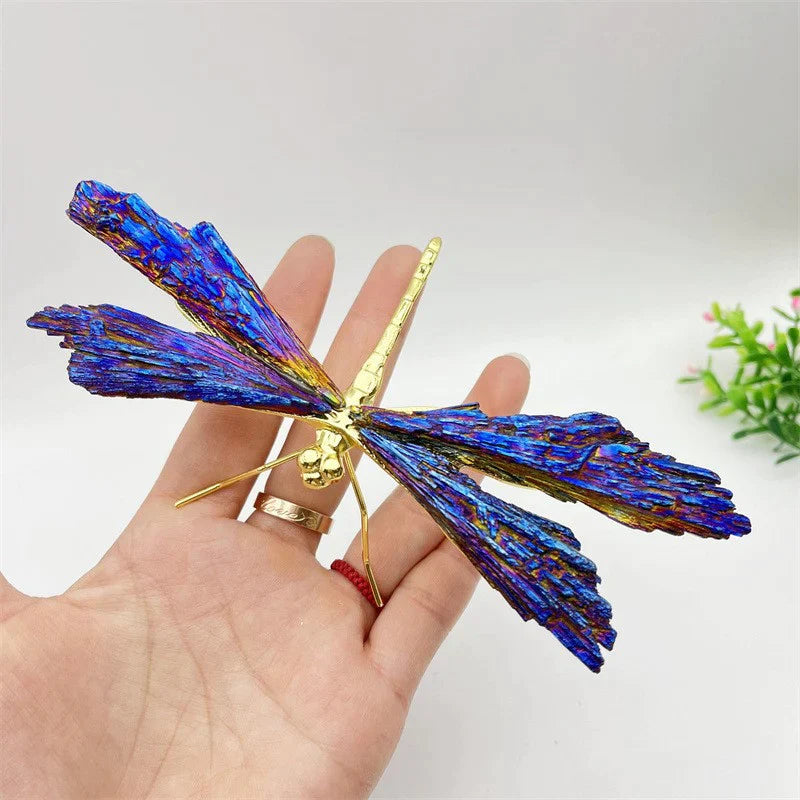 Libellule Aura Tourmaline Kyanite